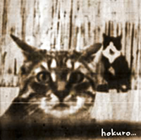 Hokuro